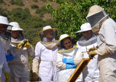 apiturismo-valladolid-valoria