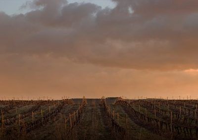 enoturismo-valladolid-vino