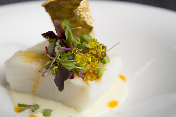 fin-semana-gastronomico-valladolid